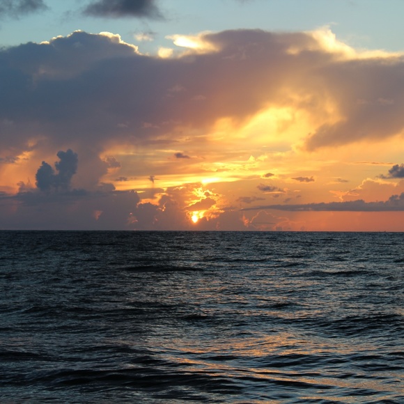 Meet your Posher, Alexandra - Picture 4 of 4